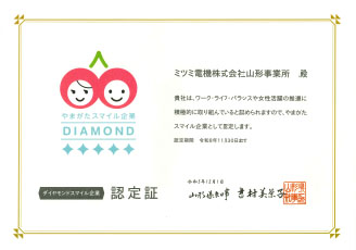 Special Certificate as a "Diamond Smile Company"