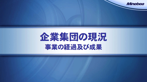 企業集団の現況