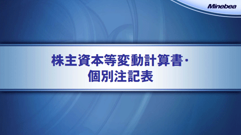 株主資本等変動計算書・個別注記表