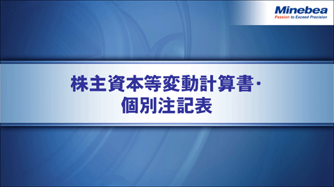 株主資本等変動計算書・個別注記表