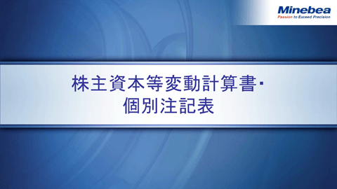 株主資本等変動計算書・個別注記表