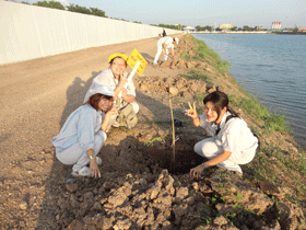 画像：植林