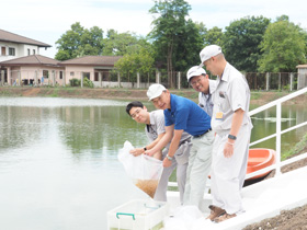 画像：稚魚放流