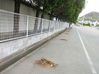 画像:当日の様子