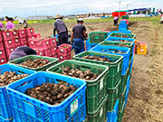 画像:当日の様子