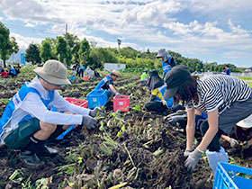日本一の芋煮会フェスティバルのボランティアの様子2