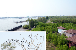 画像:環境保全活動を行うグヌー公園