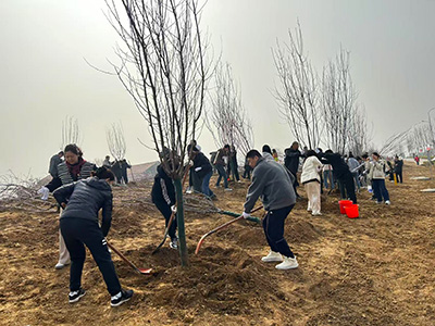 画像：青島市主催の植樹活動に参加（中国　青島工場）