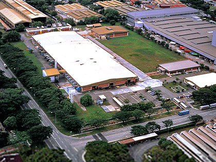 Photo of Jurong Plant