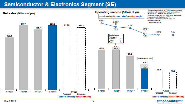 Semiconductor & Electronics Segment (SE)