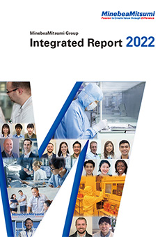 Integrated Report 2022