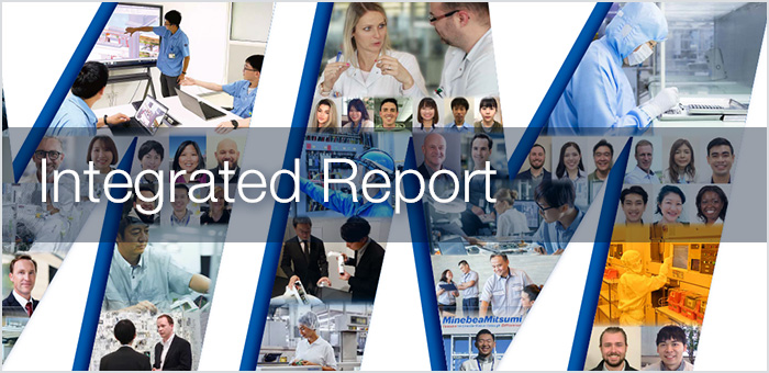 Integrated Reports