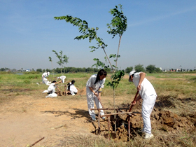 imgae : Commemorative tree planting