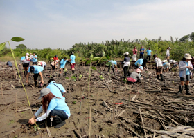 imgae : Tree Planting