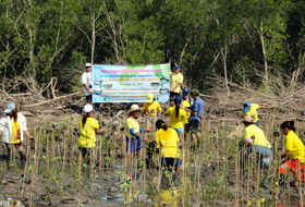 Tree planting