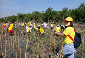 Tree planting