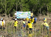 Tree planting