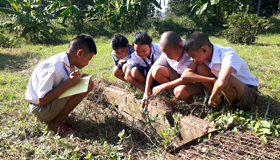 image : Field observation