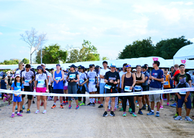 image : Marathon race participants
