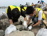 Cleanup activity