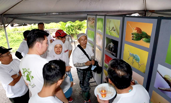image : Nature conservation exhibits