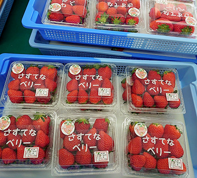 image : Strawberries provided