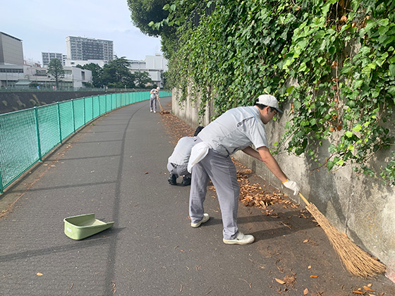 image : Cleaning activities 2