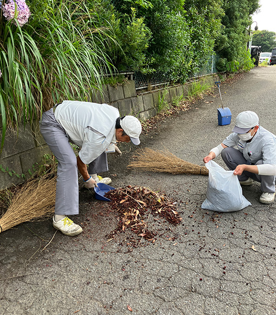image : Cleaning activities 6