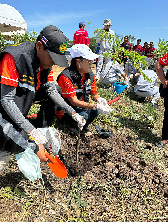 image : Plant 100 trees