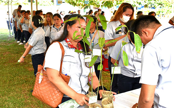 image : Adopt-a-Tree Activities : Distribution of Seedlings