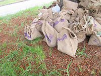 image : On the day of the event