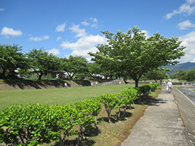 image : Scene from the day