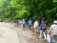 image : Scene from the day