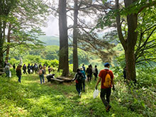 image : Scene from the day