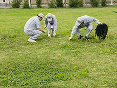 Scene from the cleanup day (2 of 2).