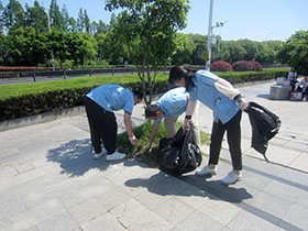 Scene from the cleanup day (2 of 2)