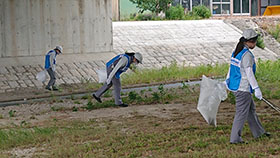 Scene from the cleanup day (1 of 4).