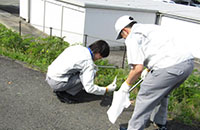 Scene from the cleanup day (1 of 3).