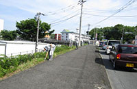 Scene from the cleanup day (2 of 3).