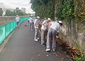 Scene from the cleanup day (3 of 4).