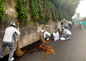 Scene from the cleanup day (4 of 4).