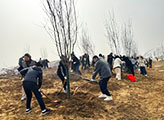 The scene tree planting activity