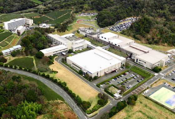 image : Hamamatsu Plant