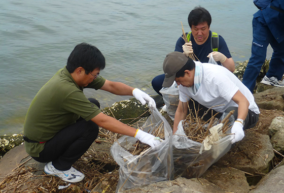 image : Cleanup activity