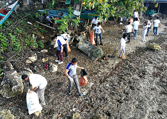 image : Cleanup activity