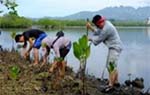 iamge : Mangrove Planting activities in Cebu Island (Philippines)