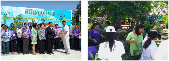 image : Tree-planting ceremony and activities