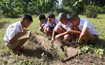 image : Field observation