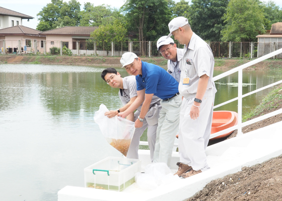 image : Scene from the fry release