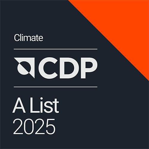 CDP (Discloser 2025)